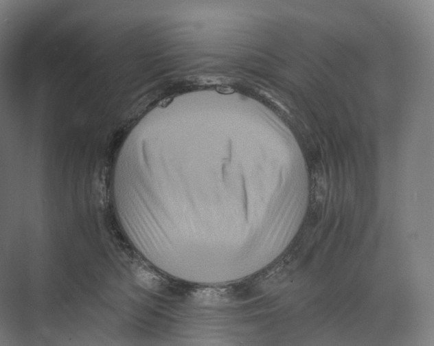 X0000073980422200609181721