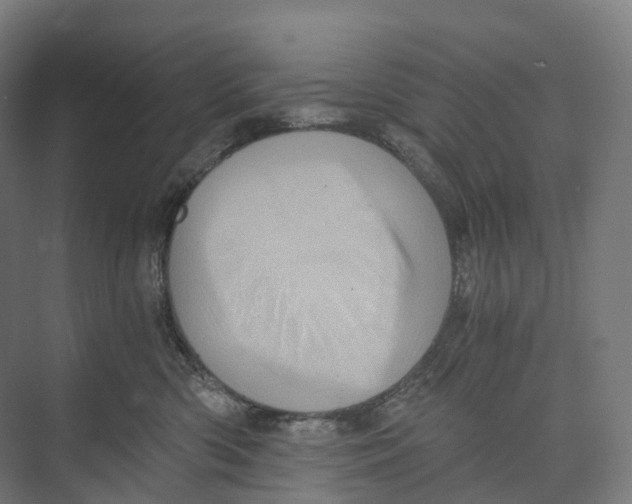 X0000073980426200609181721