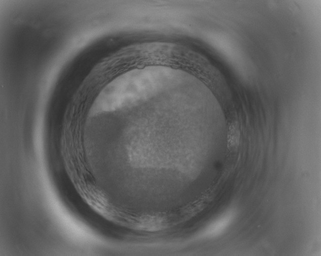 X0000073980431200609181721