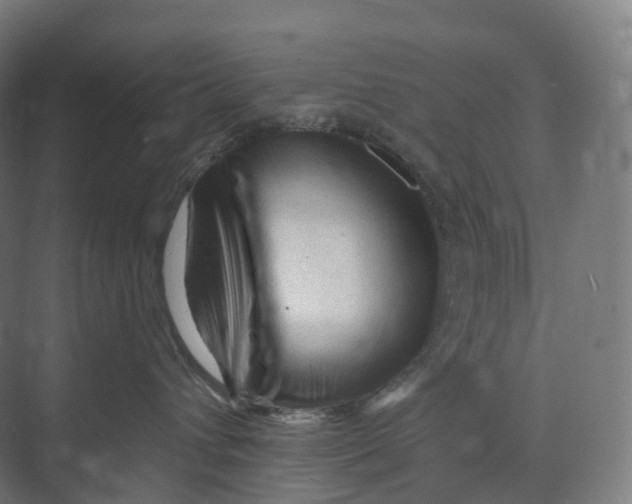 X0000073980432200609181721