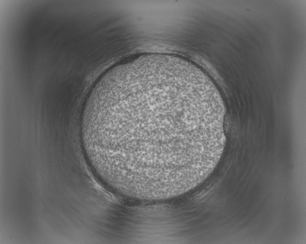 X0000073980433200609181720