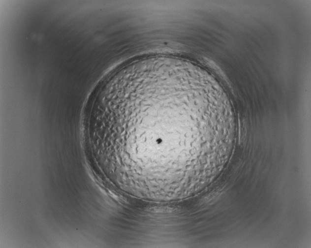 X0000073980435200609181720