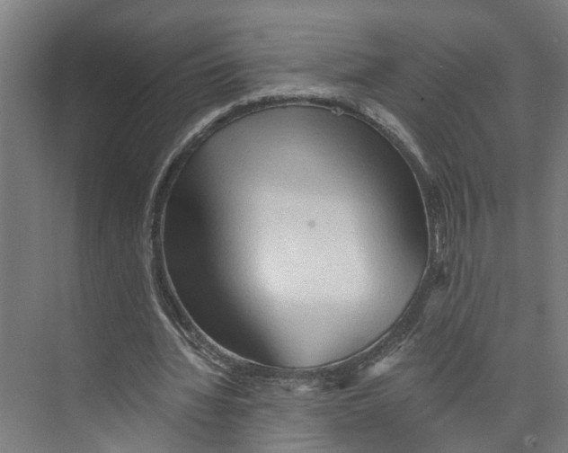 X0000073980436200609181720