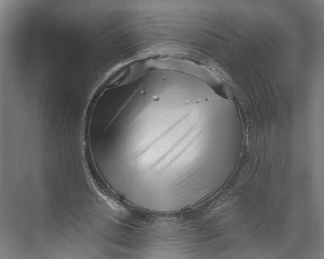 X0000073980438200609181720