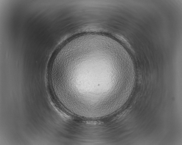 X0000073980439200609181720