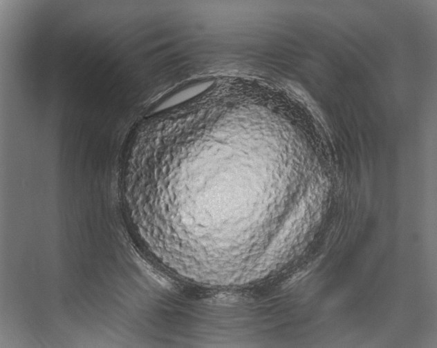 X0000073980441200609181720