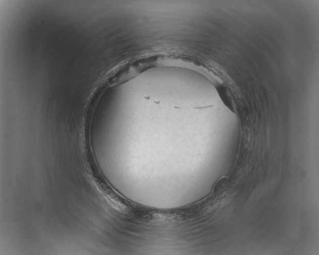 X0000073980442200609181720