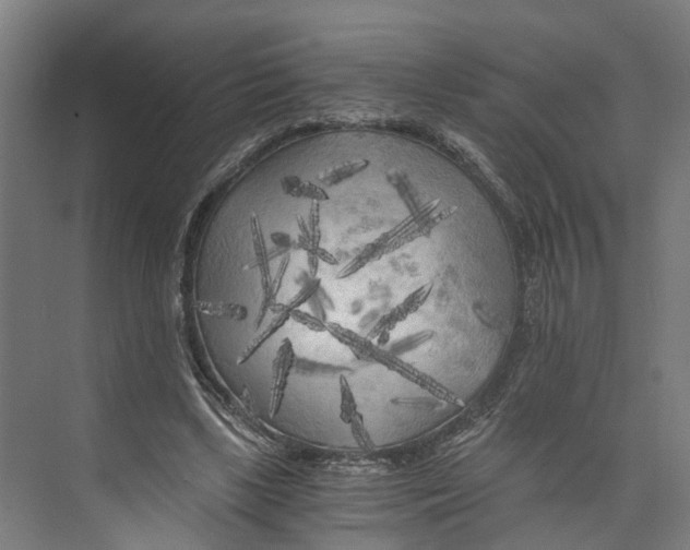 X0000073980443200609181720