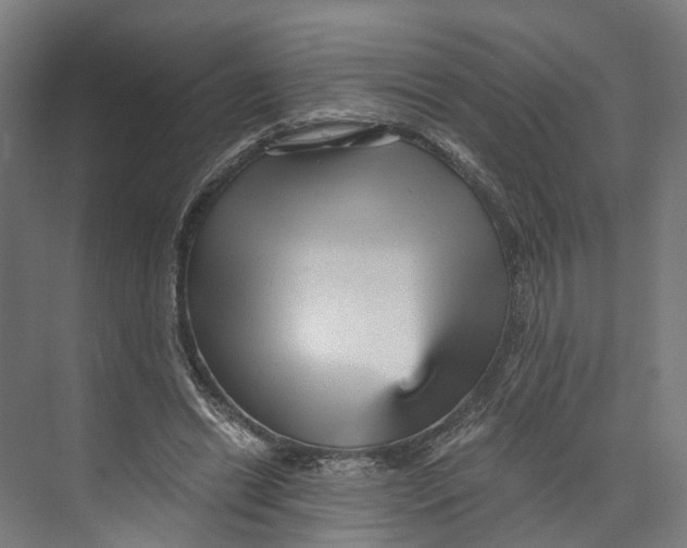 X0000073980446200609181721