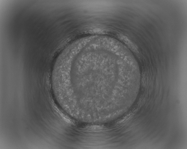 X0000073980449200609181721