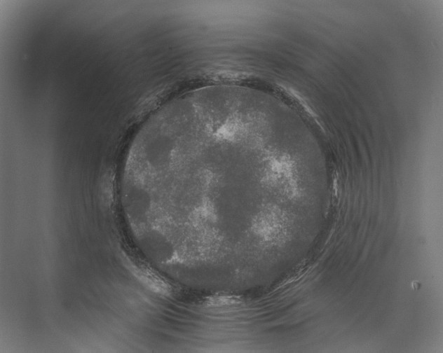 X0000073980451200609181721