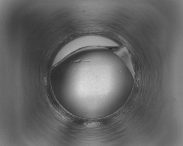 X0000073980452200609181721