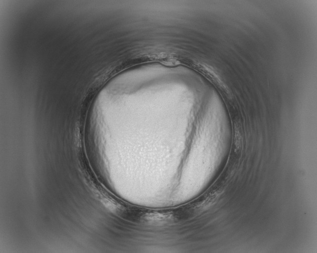 X0000073980453200609181721