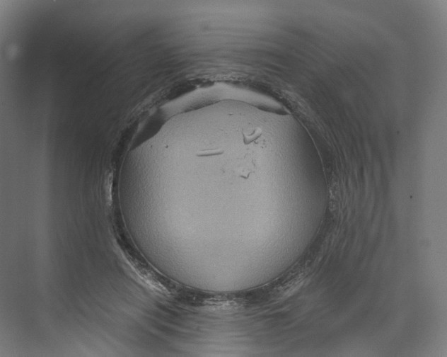 X0000073980454200609181721