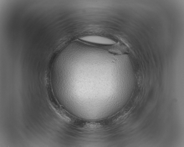 X0000073980455200609181721