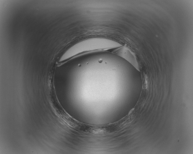 X0000073980456200609181721