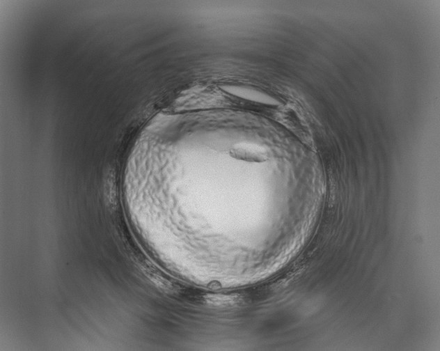 X0000073980457200609181721