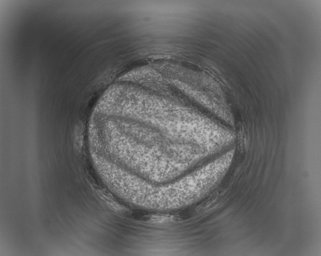 X0000073980458200609181721