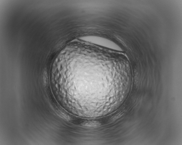 X0000073980459200609181721