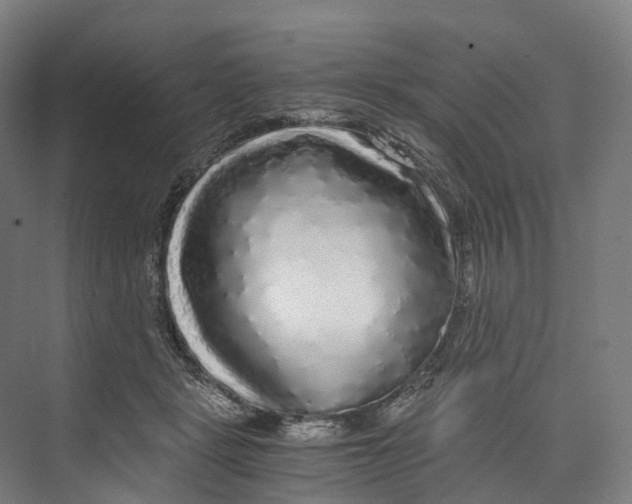 X0000073980461200609181721