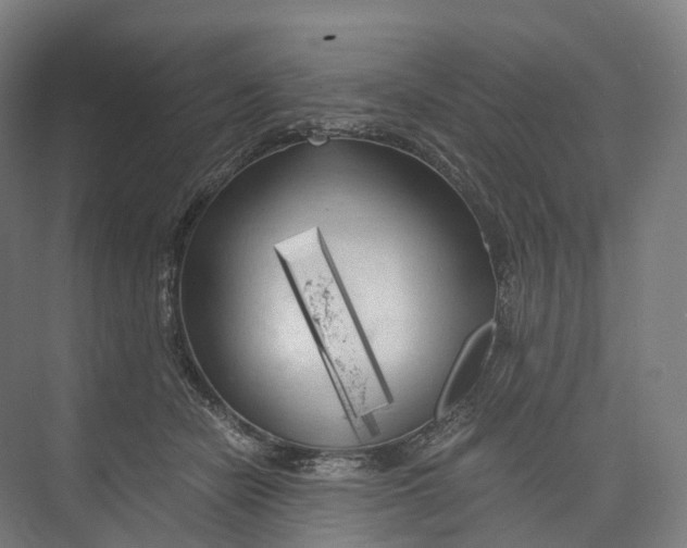 X0000073980462200609181721