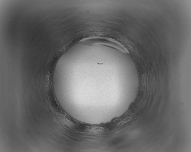 X0000073980463200609181721