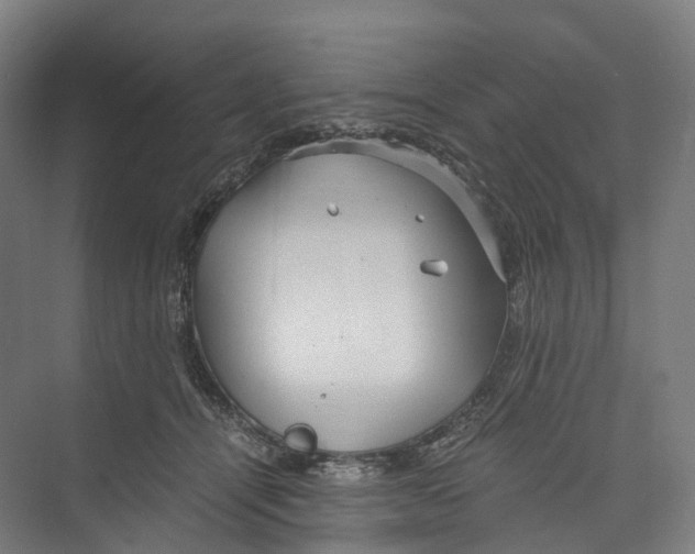 X0000073980464200609181721