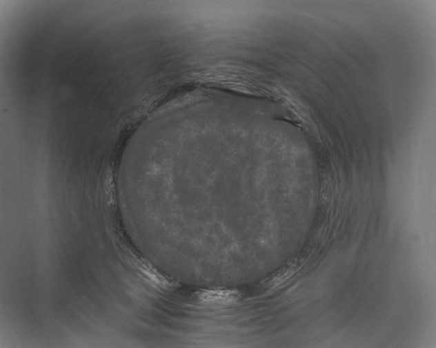 X0000073980465200609181721