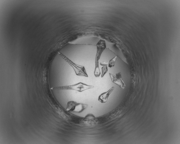 X0000073980466200609181721