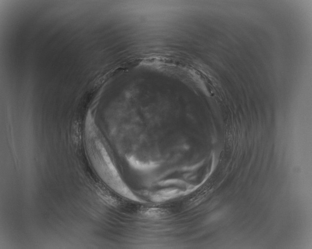 X0000073980467200609181721