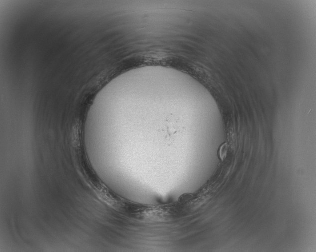 X0000073980468200609181721