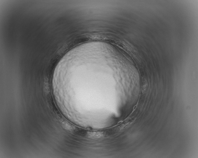 X0000073980469200609181721