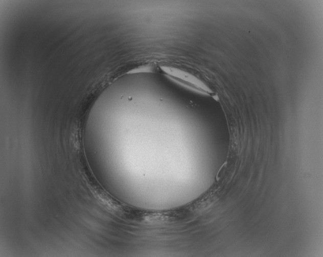 X0000073980470200609181721