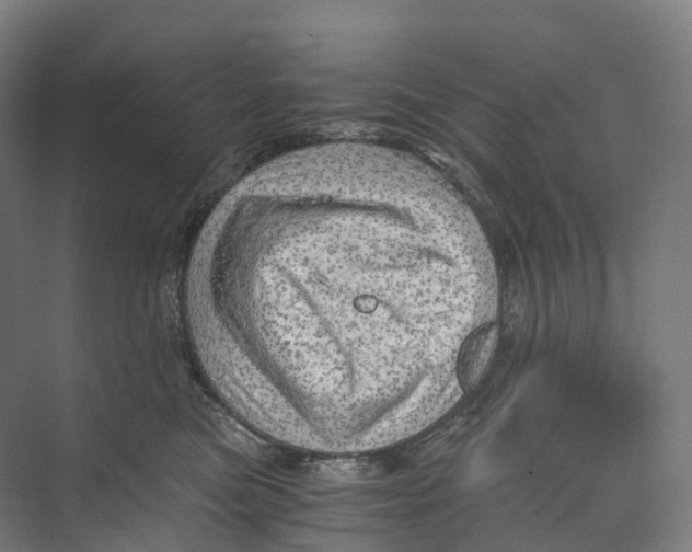 X0000073980473200609181721