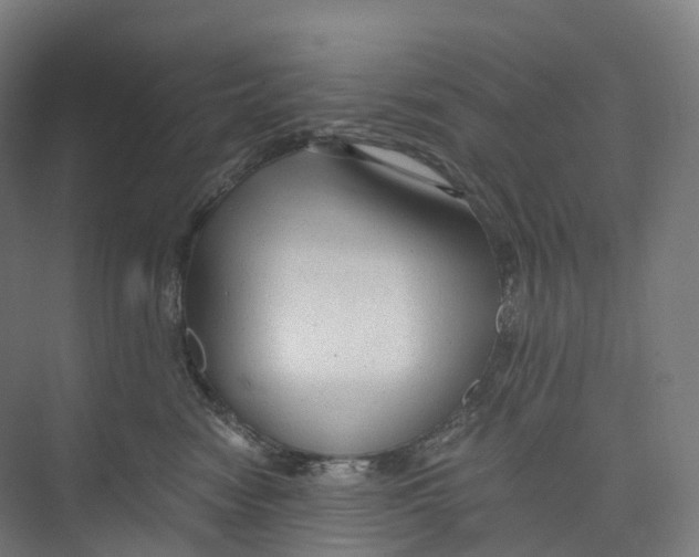 X0000073980474200609181721