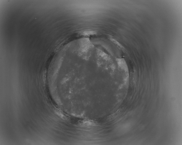 X0000073980475200609181721