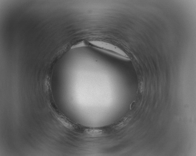 X0000073980476200609181721