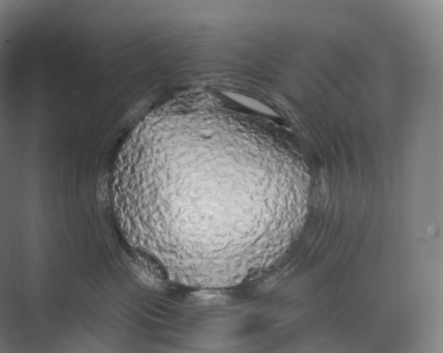 X0000073980477200609181721