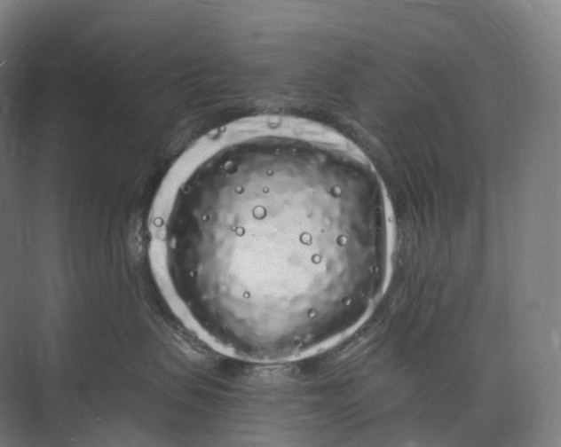 X0000073980479200609181721