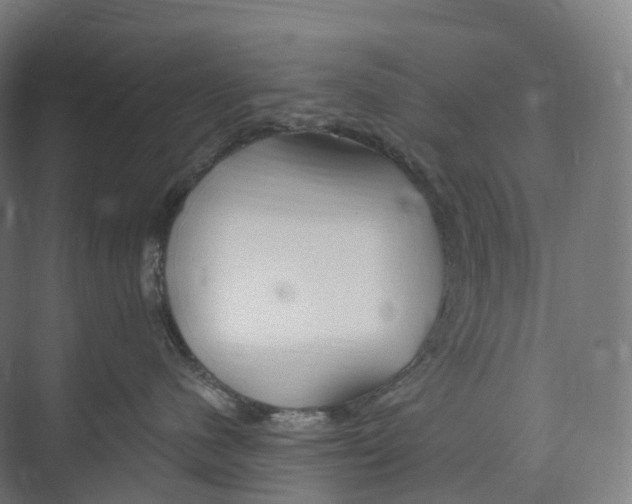 X0000073980480200609181721