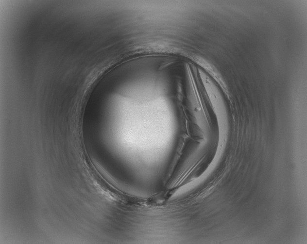 X0000073980481200609181720