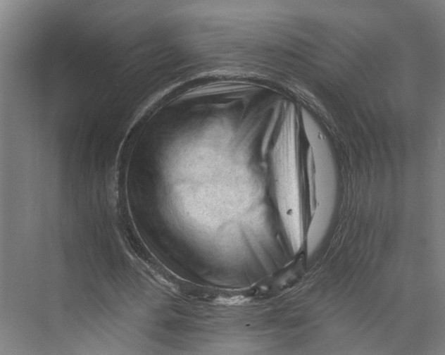 X0000073980484200609181720