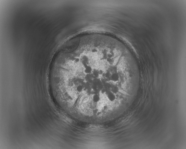 X0000073980487200609181720