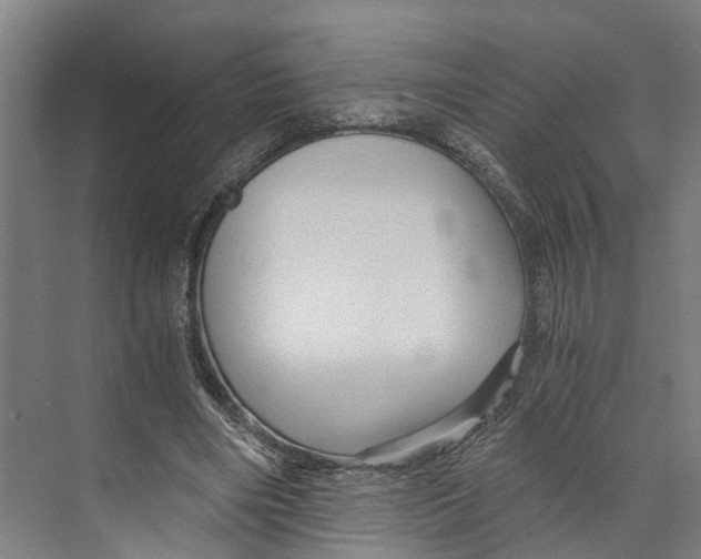 X0000073980490200609181720