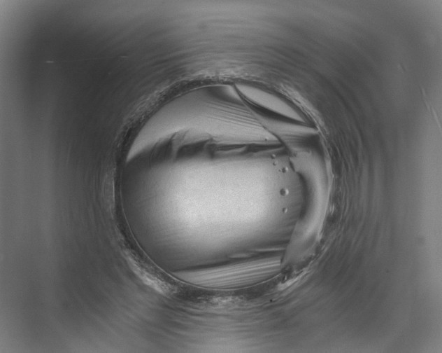 X0000073980493200609181720