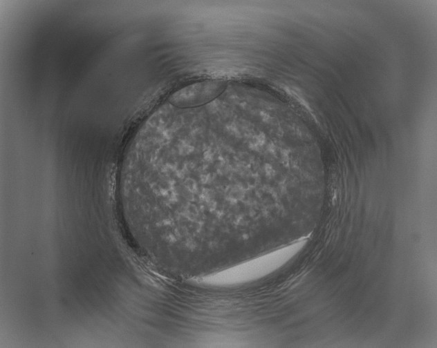 X0000073980495200609181720