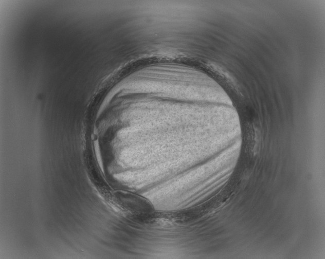 X0000073980496200609181720