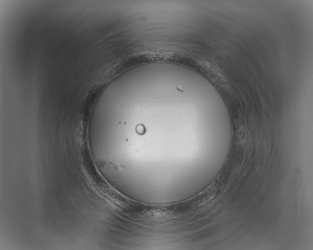 X0000073980498200609181720