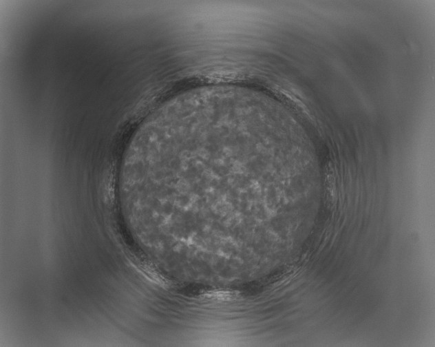 X0000073980499200609181720