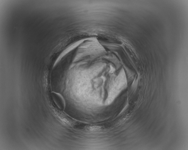 X0000073980501200609181720